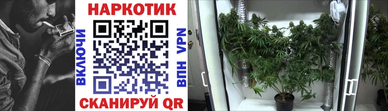  COCAIN Инта